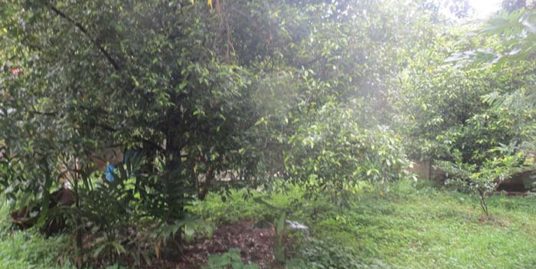 LAND AND HOUSE FOR SALE AT KODAKARA, THRISSUR